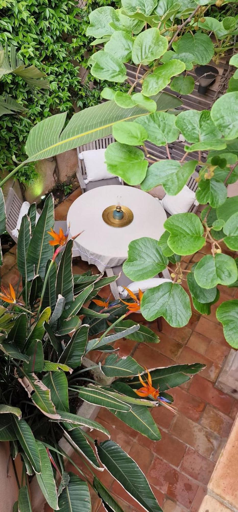 Maison Magdeleine Saint-Tropez Exterior foto